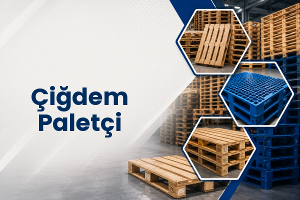 Çiğdem Paletçi 